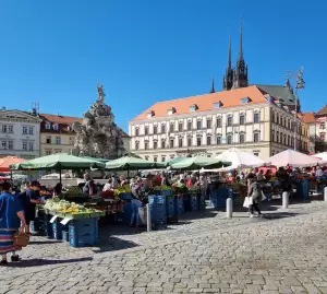 Kytka Jak Brno